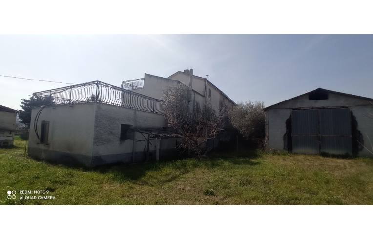 immagine annuncio 3 di 7