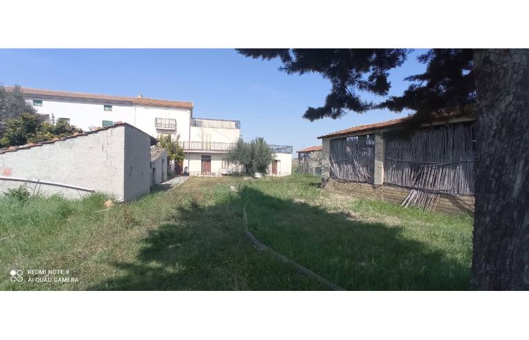 immagine annuncio 6 di 7