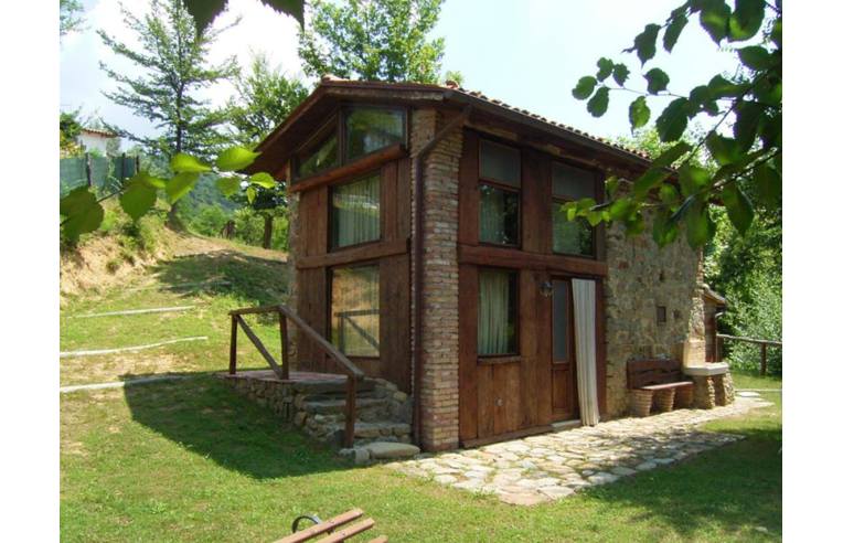 immagine annuncio 1 di 7