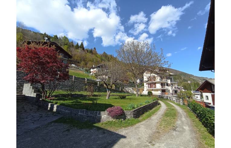 immagine annuncio 5 di 7