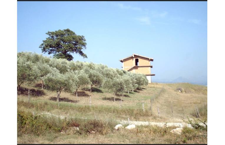 immagine annuncio 3 di 6