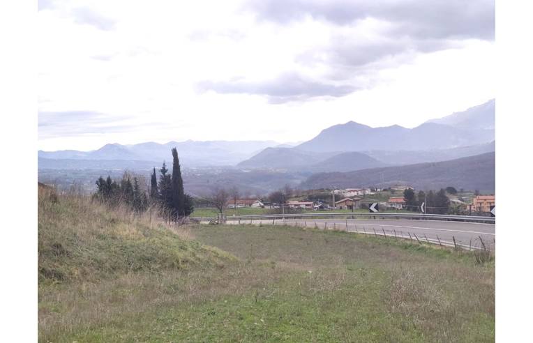 immagine annuncio 5 di 6