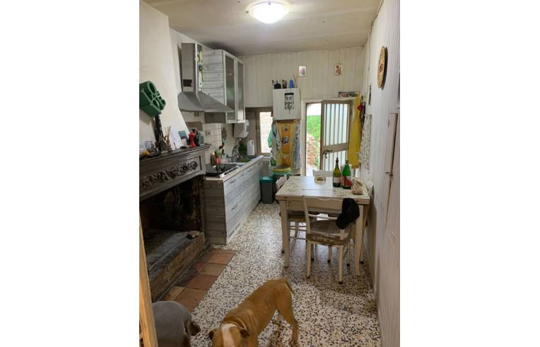 immagine annuncio 4 di 6