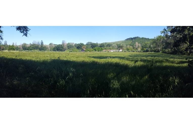 Terreno Agricolo/Coltura in affitto a Monterado, Via Molino di Monterado 20
