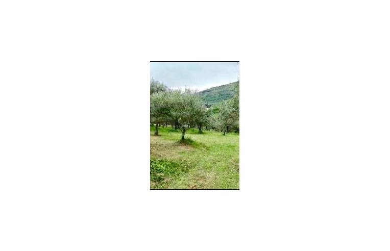 Terreno Agricolo/Coltura in vendita a Prossedi, Contrada Colli 19