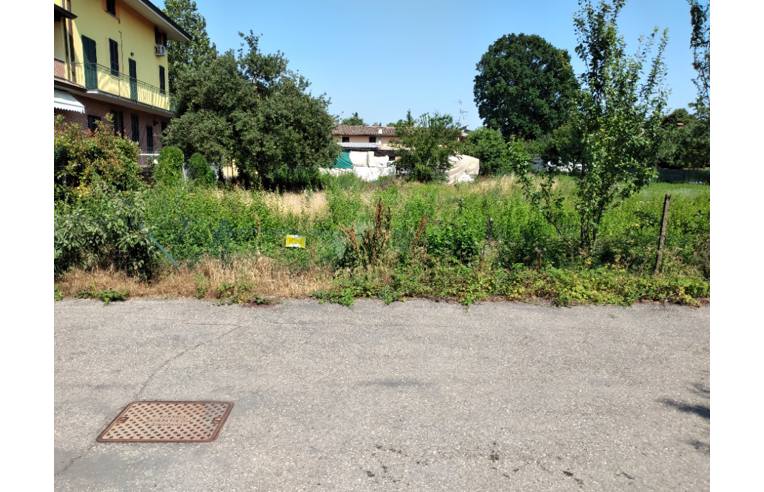 immagine annuncio 3 di 7