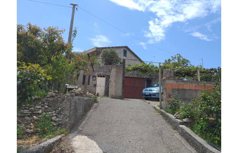 Terreno Agricolo/Coltura in vendita a Messina, Frazione Salice