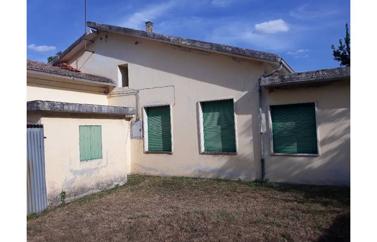 immagine annuncio 1 di 7