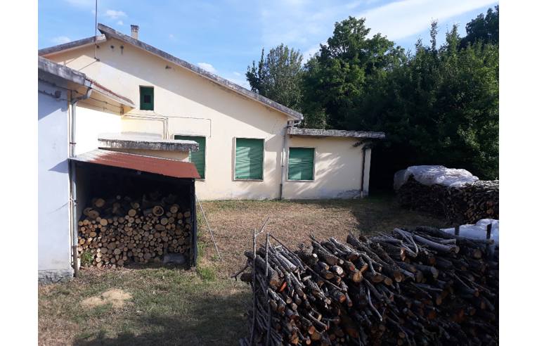 immagine annuncio 3 di 7