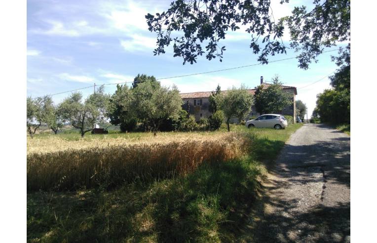 immagine annuncio 3 di 7