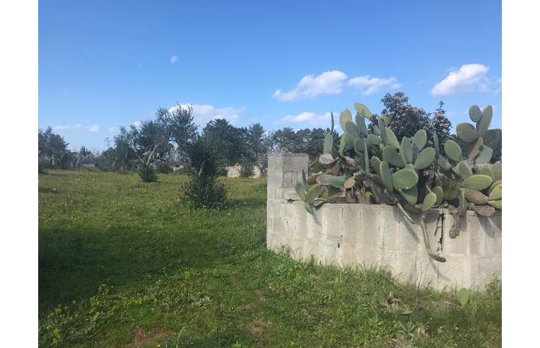 immagine annuncio 2 di 4