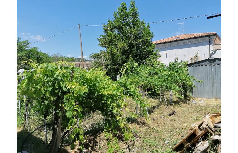 immagine annuncio 1 di 3