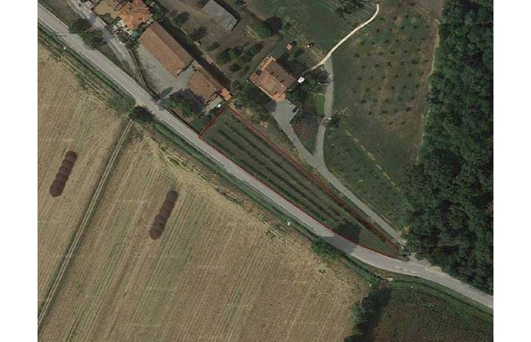 immagine annuncio 1 di 2