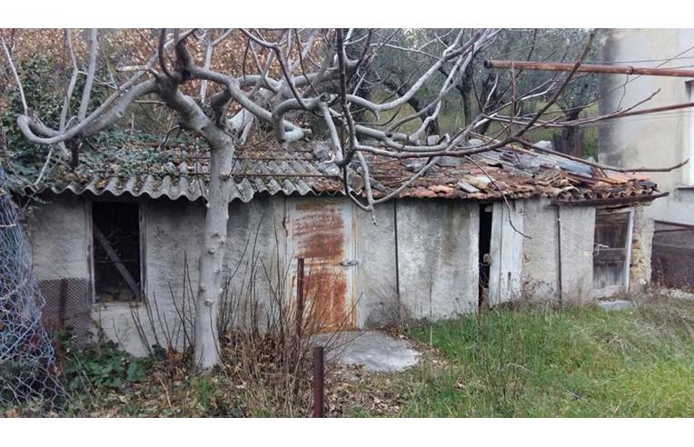 immagine annuncio 1 di 4