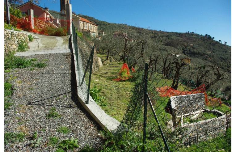 immagine annuncio 2 di 7