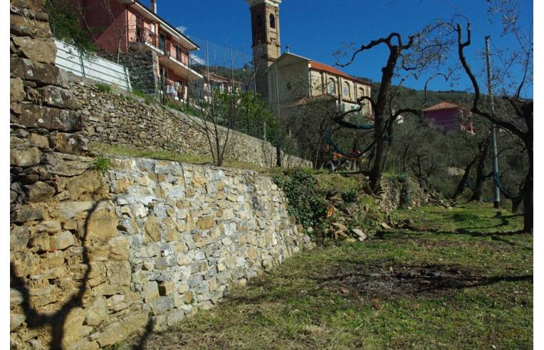 immagine annuncio 3 di 7