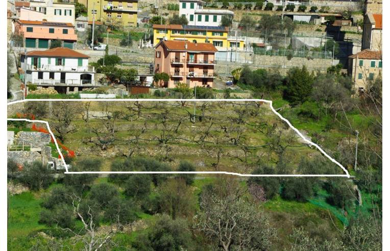 immagine annuncio 4 di 7