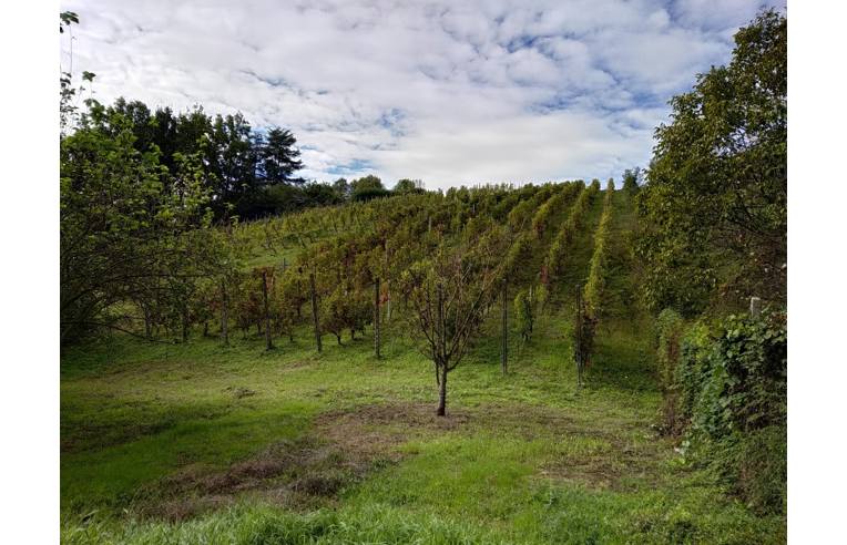 Terreno Agricolo/Coltura in vendita a San Colombano al Lambro, Via della Malpensata n/a