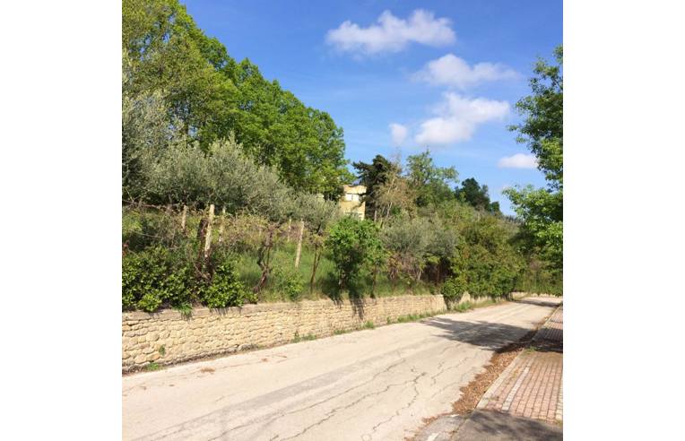 immagine annuncio 6 di 7