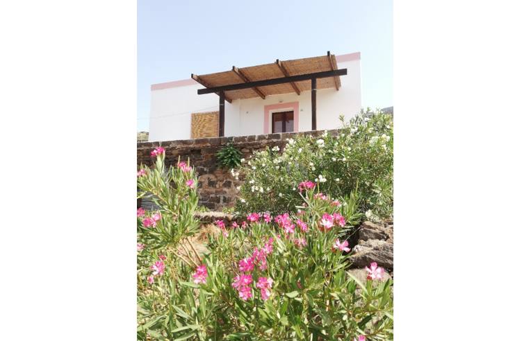 Affitto Casa Vacanze a Pantelleria, Frazione Scauri, Contrada Zighidì 82