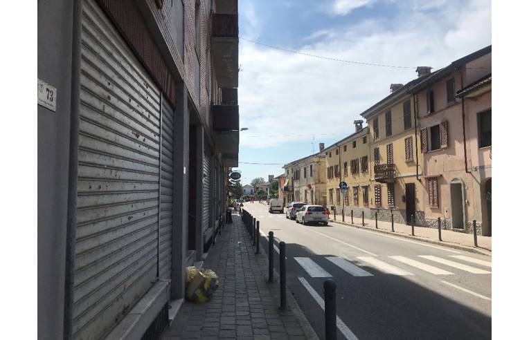 immagine annuncio 1 di 7