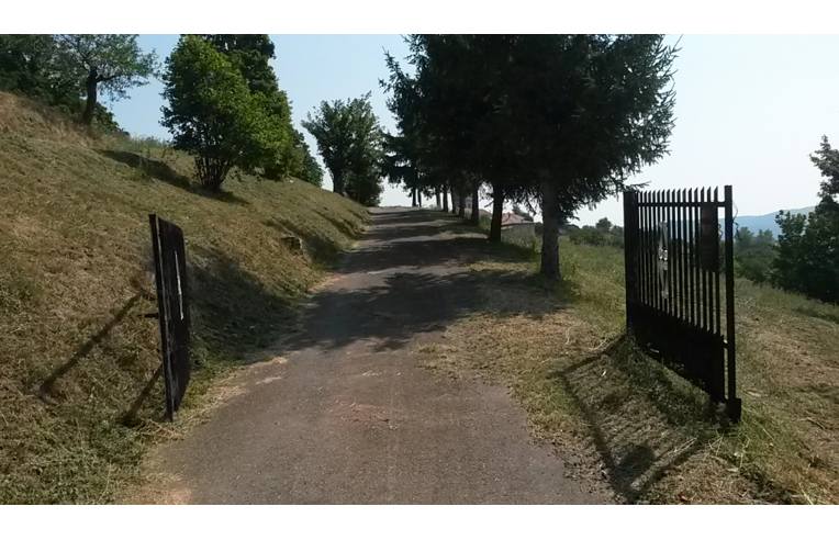 immagine annuncio 4 di 7