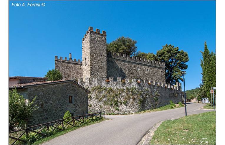 immagine annuncio 5 di 7