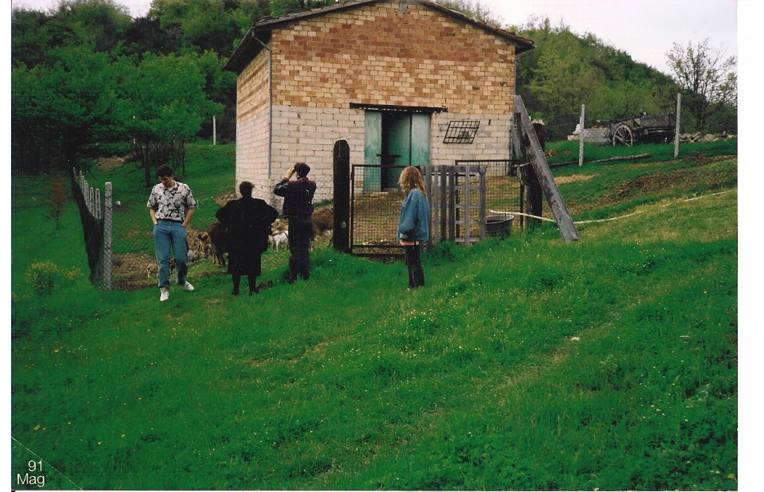 immagine annuncio 1 di 7