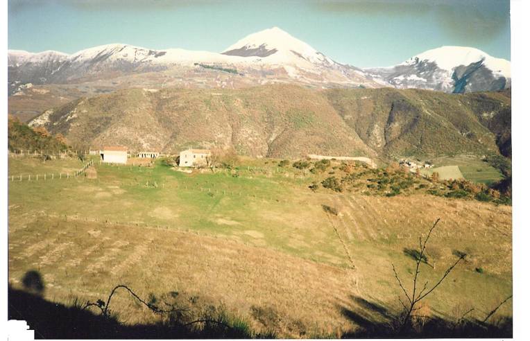 immagine annuncio 2 di 7