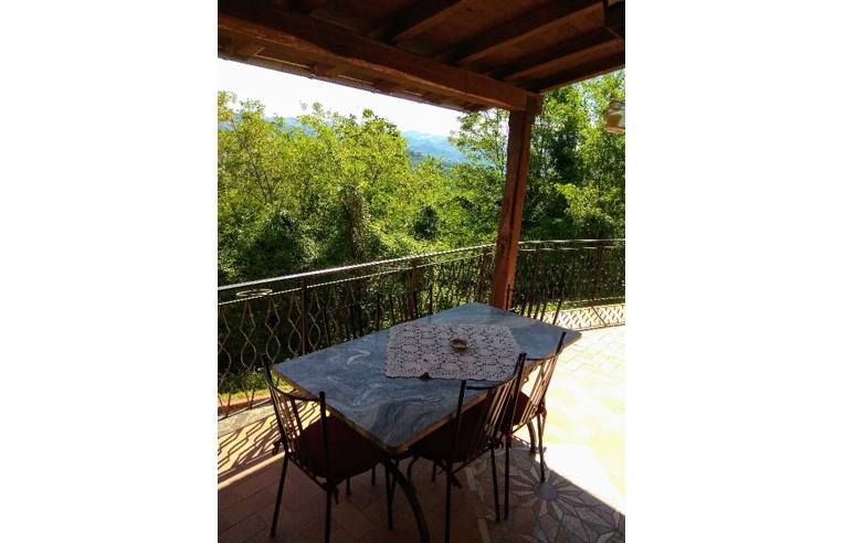 immagine annuncio 6 di 7