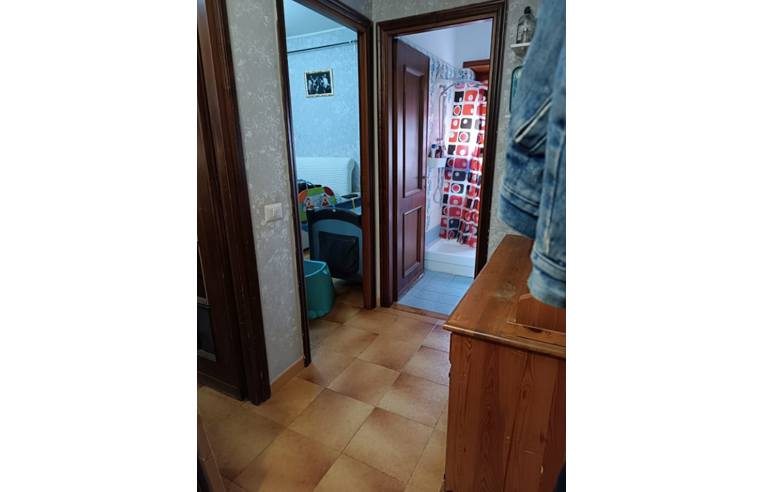 immagine annuncio 3 di 6