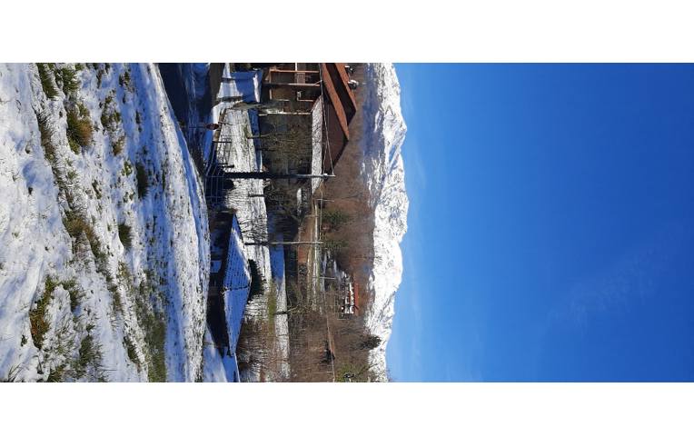 immagine annuncio 4 di 7