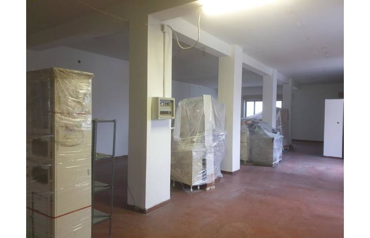 immagine annuncio 4 di 7