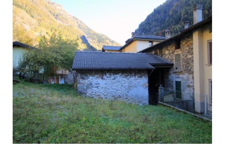 immagine annuncio 3 di 6