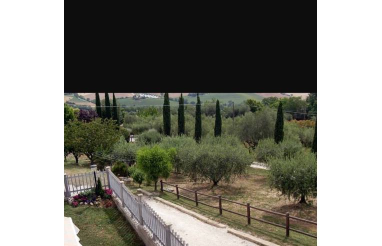 immagine annuncio 3 di 7