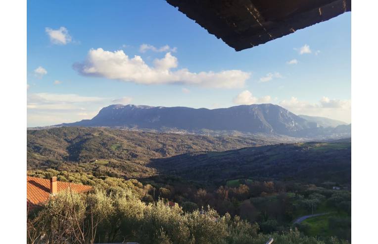 immagine annuncio 6 di 7