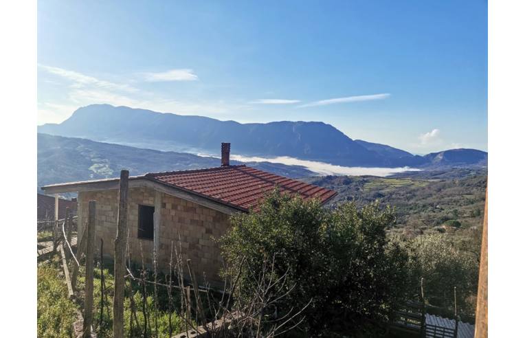 immagine annuncio 4 di 7