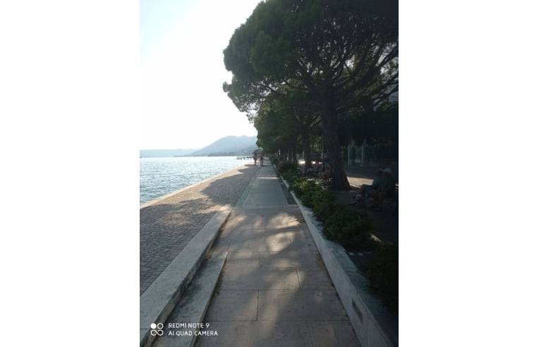 immagine annuncio 3 di 7