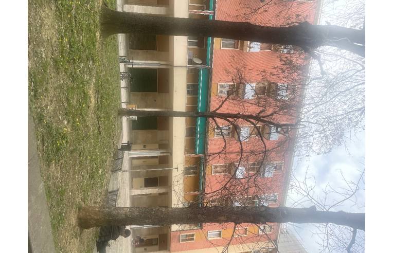 Foto 2 - Appartamento in Vendita da Privato - Bologna, Zona Borgo Panigale