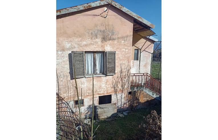 immagine annuncio 3 di 7