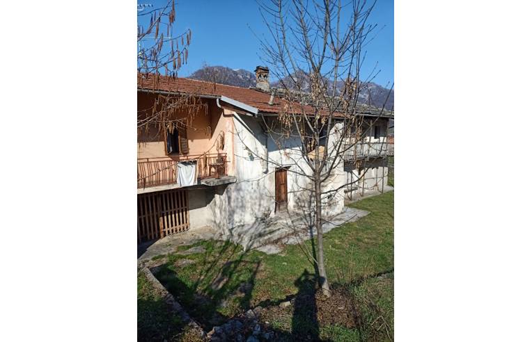 immagine annuncio 1 di 7