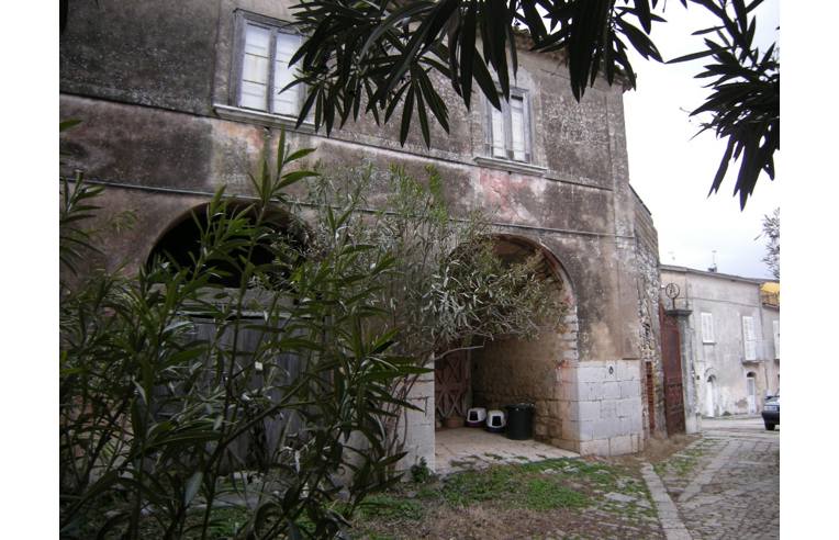 immagine annuncio 2 di 7