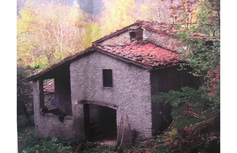 Baita/Chalet/Trullo in vendita a Villa Collemandina, Frazione Sassorosso