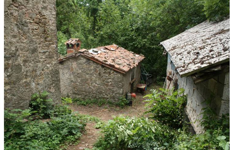 immagine annuncio 2 di 7