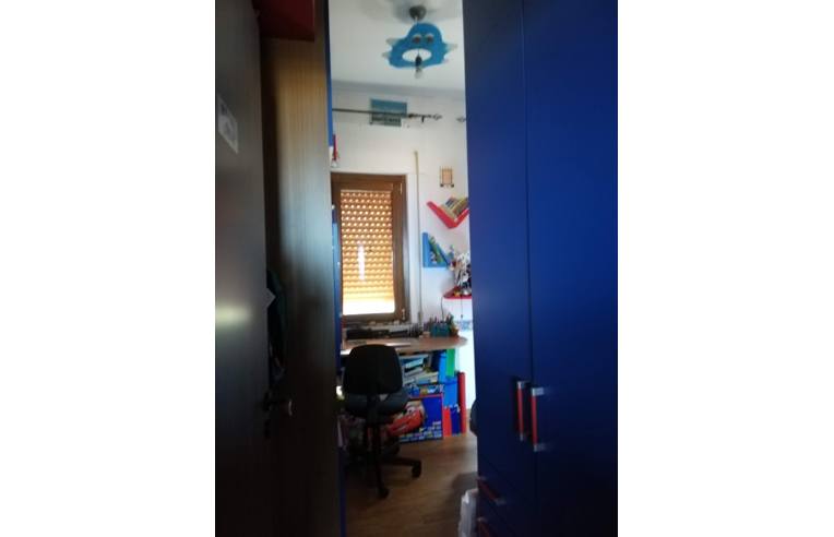 immagine annuncio 5 di 7