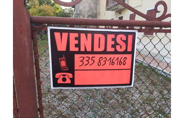 immagine annuncio 3 di 7