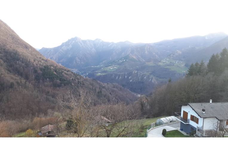 immagine annuncio 4 di 7
