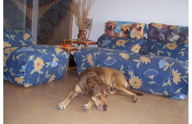 Foto 4