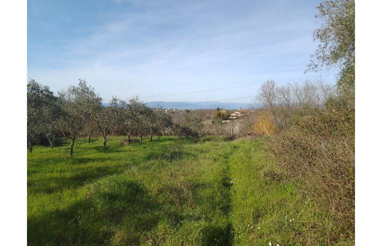 immagine annuncio 4 di 7