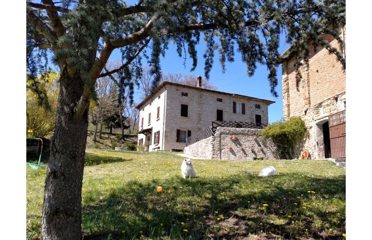 immagine annuncio 3 di 7